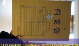 驻马店档案去向查询：探寻驻马店档案下落