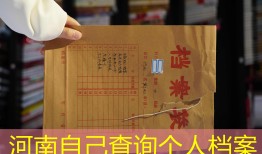 河南自己查询个人档案