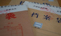 如何查询个人档案退回原籍后的情况？