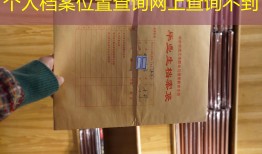 个人档案位置查询网上查询不到