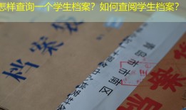 怎样查询一个学生档案？如何查阅学生档案？