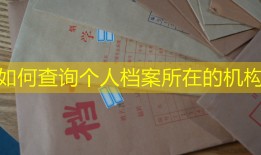 如何查询个人档案所在的机构