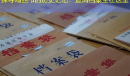 探寻鸡西市的历史记忆：查询档案全在这里