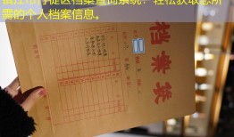 镇江市丹徒区档案查询系统：轻松获取您所需的个人档案信息。