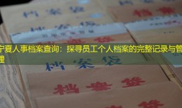 宁夏人事档案查询：探寻员工个人档案的完整记录与管理