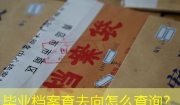 毕业档案查去向怎么查询？