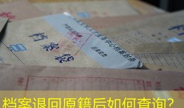 档案退回原籍后如何查询？