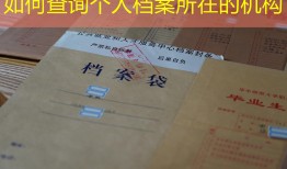 如何查询个人档案所在的机构