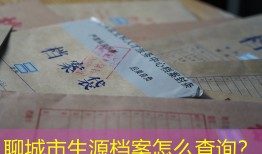 聊城市生源档案怎么查询？