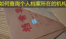 如何查询个人档案所在的机构