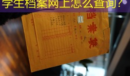 学生档案网上怎么查询？