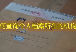如何查询个人档案所在的机构？