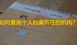 如何查询个人档案所在的机构？