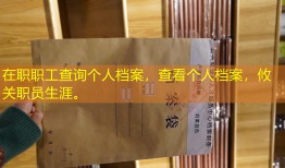 在职职工查询个人档案，查看个人档案，攸关职员生涯。