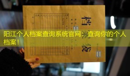 阳江个人档案查询系统官网：查询你的个人档案！