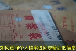 如何查询个人档案退回原籍后的信息