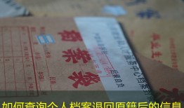 如何查询个人档案退回原籍后的信息