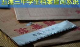 五莲三中学生档案查询系统