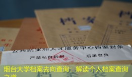 烟台大学档案去向查询：解读个人档案查询之道