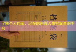 了解个人档案，尽在肥东县人事档案查询平台