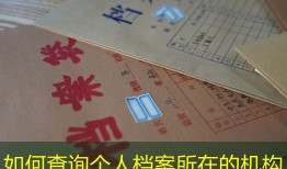 如何查询个人档案所在的机构