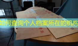 如何查询个人档案所在的机构