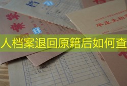 个人档案退回原籍后如何查询