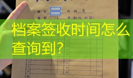 档案签收时间怎么查询到？