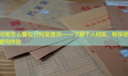 河南怎么看自己档案查询——了解个人档案，畅享便捷查询体验