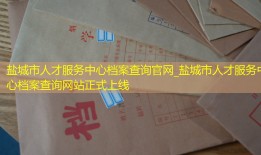 盐城市人才服务中心档案查询官网_盐城市人才服务中心档案查询网站正式上线