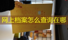 网上档案怎么查询在哪