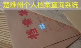 楚雄州个人档案查询系统