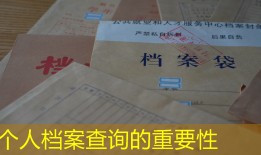 个人档案查询的重要性