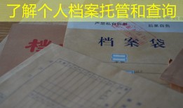 了解个人档案托管和查询