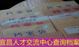 宜昌人才交流中心查询档案