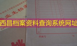 西昌档案资料查询系统网址