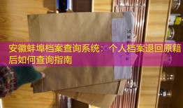 安徽蚌埠档案查询系统：个人档案退回原籍后如何查询指南