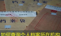 如何查询个人档案所在机构