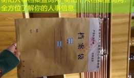 衡阳人事档案查询网_衡阳个人档案查询网：全方位了解你的人事信息