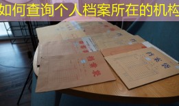 如何查询个人档案所在的机构