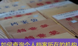 如何查询个人档案所在的机构