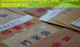 贵阳档案流程网上查询_网上畅查，轻松查询贵阳市档案流程