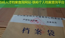 铁岭人才档案查询网站-铁岭个人档案查询平台