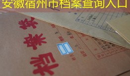 安徽宿州市档案查询入口