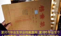 漯河市毕业生毕业档案查询_漯河市毕业生个人档案查询：如何查询个人档案所在的机构