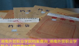 湖南外贸职业学院档案查询_湖南外贸职业学院个人档案查询服务