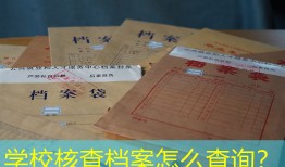 学校核查档案怎么查询？