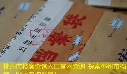 郴州市档案查询入口官网查询_探索郴州市档案，网上查询便捷！