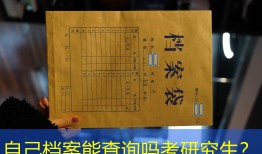 自己档案能查询吗考研究生？