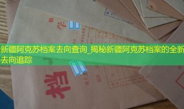 新疆阿克苏档案去向查询_揭秘新疆阿克苏档案的全新去向追踪